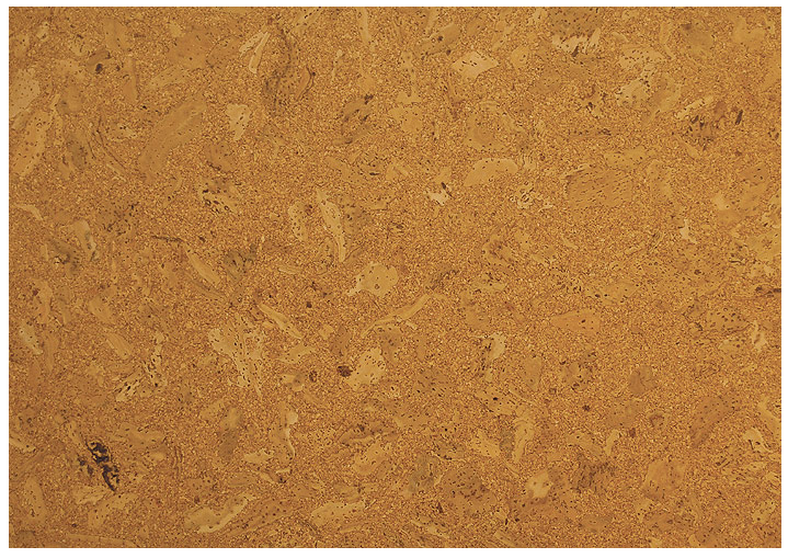 we cork premium cork flooring sale custom home interiors we cork premium cork flooring sale custom home interiors